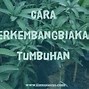 Apakah Geragih Dan Stolon Sama